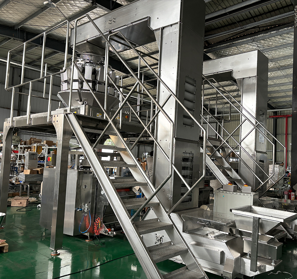 WPV250B packaging machine
